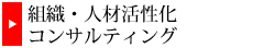 人材活用コンサルティング