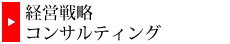 経営支援コンサルティング